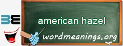 WordMeaning blackboard for american hazel